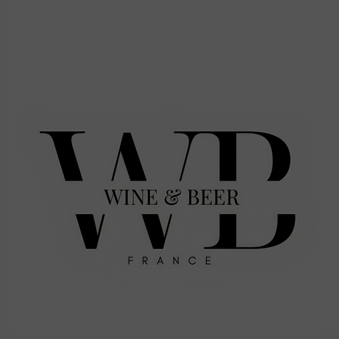 Les Styles de Bières : Guide Complet pour Mieux Choisir